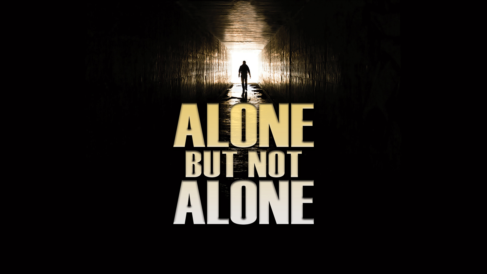 Alone-but-Not-Alone-Series-WIDE.jpg