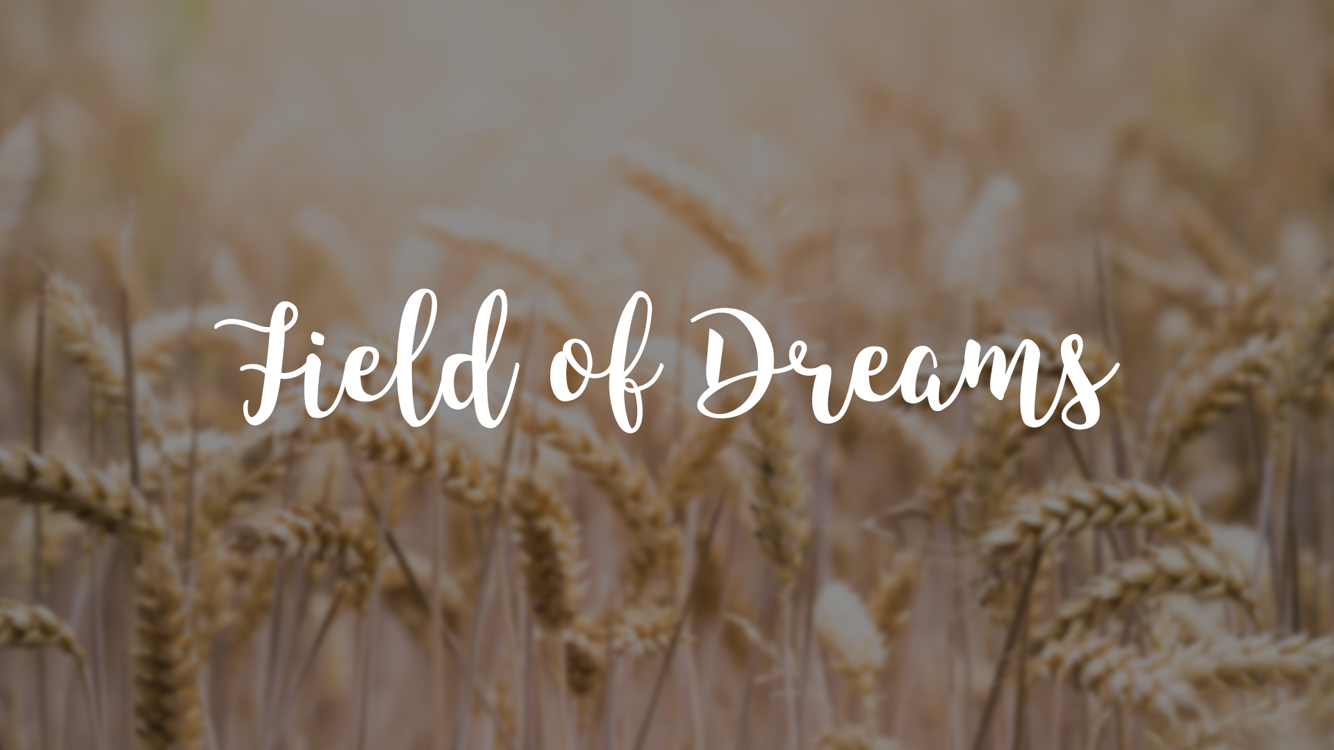 Field-of-Dreams.jpg