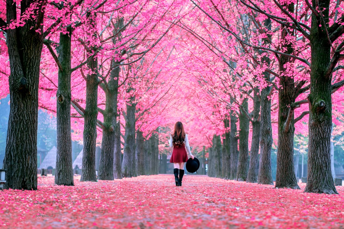 beautiful-girl-with-pink-leaves-nami-island-south-korea.jpg